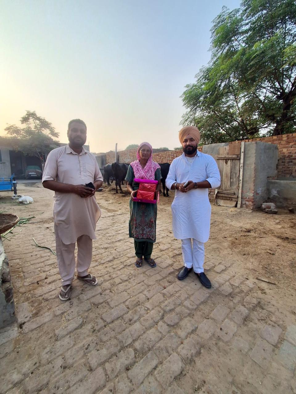 solar pump service in punjab